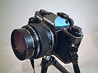 OM-3Ti�Cmacro50mmF2